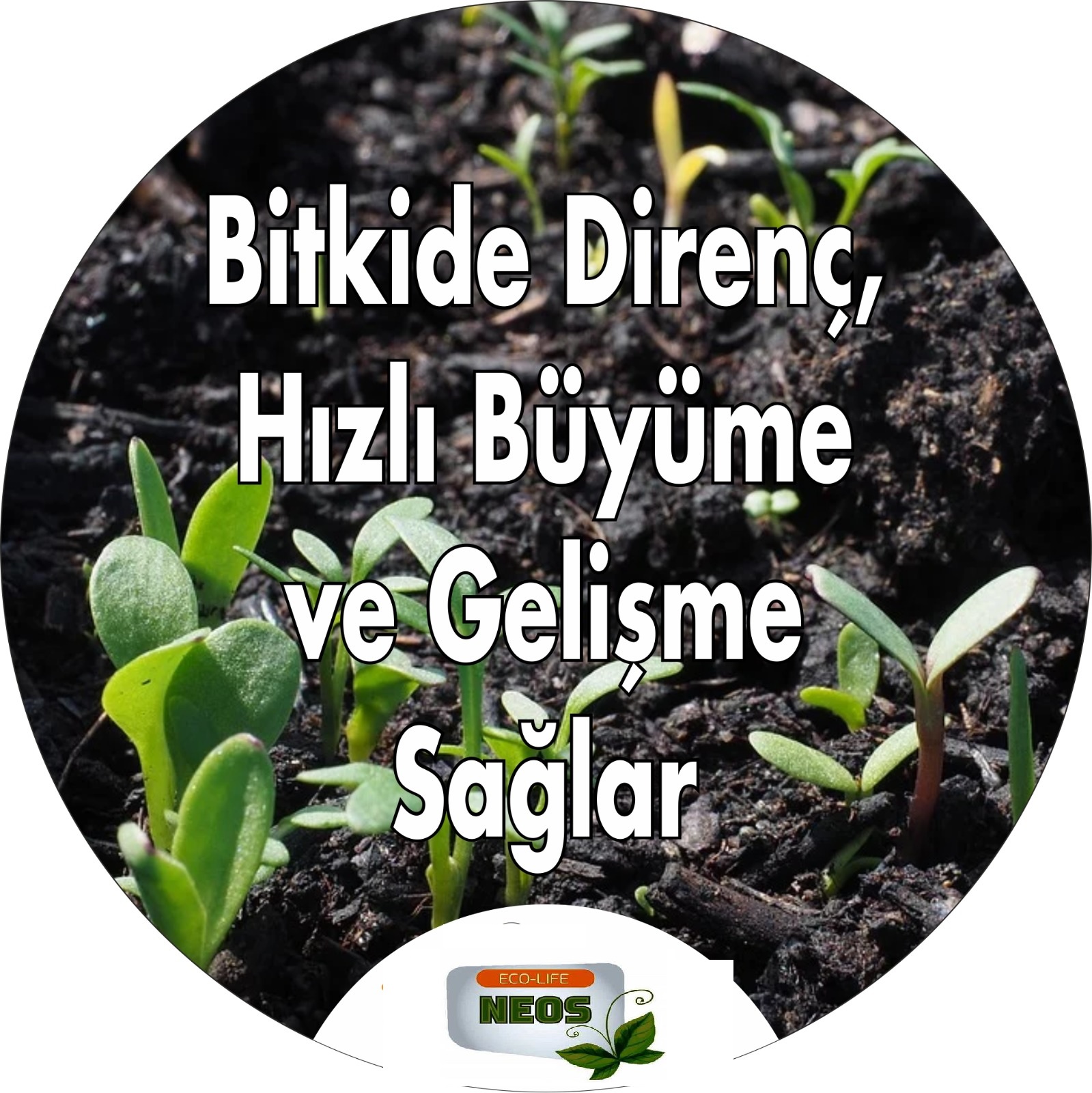 NEOS ÇİÇEK COŞTURAN/BİTKİ BESİNİ Çiçekli Bitkilere Özel Çiçek Açtıran Bitki Besini Vitamin 750 ml